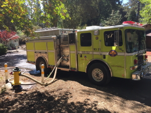 2Wildland4_300